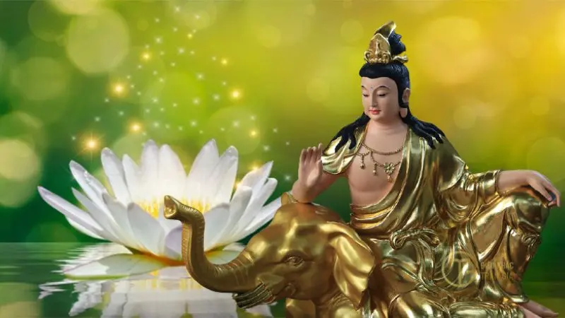 Phật bản mệnh là gì