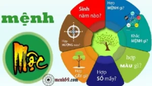 Mệnh Mộc hợp với mệnh nào